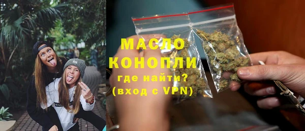 индика Саяногорск