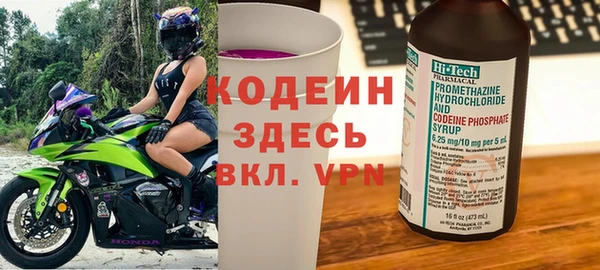 индика Саяногорск