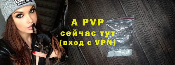 МДПВ Абаза