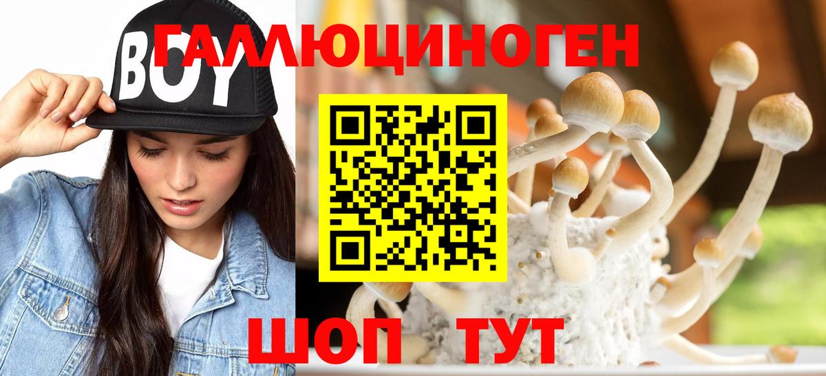 Карталы  Галлюциногенные грибы ЛСД  Псилоцибиновые грибы Cubensis  Вход с VPN 