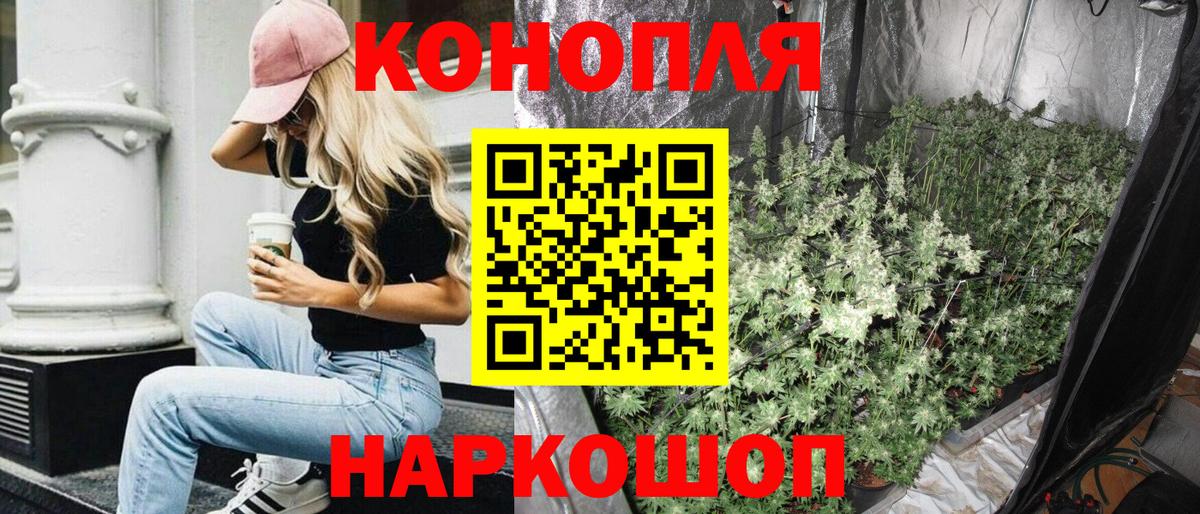 Бошки Шишки VHQ  Каннабис OG Kush  Вход с VPN  Карталы  МАРИХУАНА план 